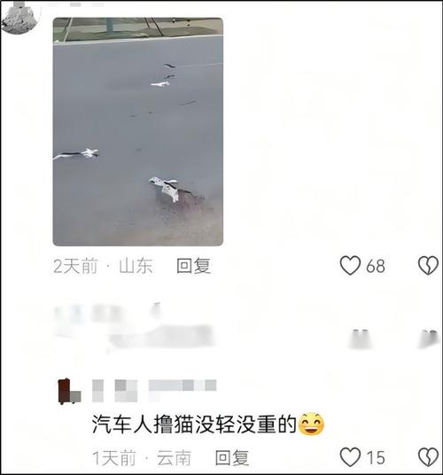 2025年4月 第28页