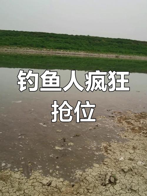 保护区里的疯狂垂钓,保护区里的疯狂垂钓是什么