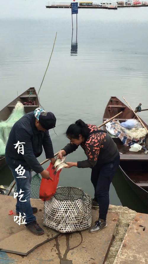 云南滇池现鱼跳龙门,滇池跳水
